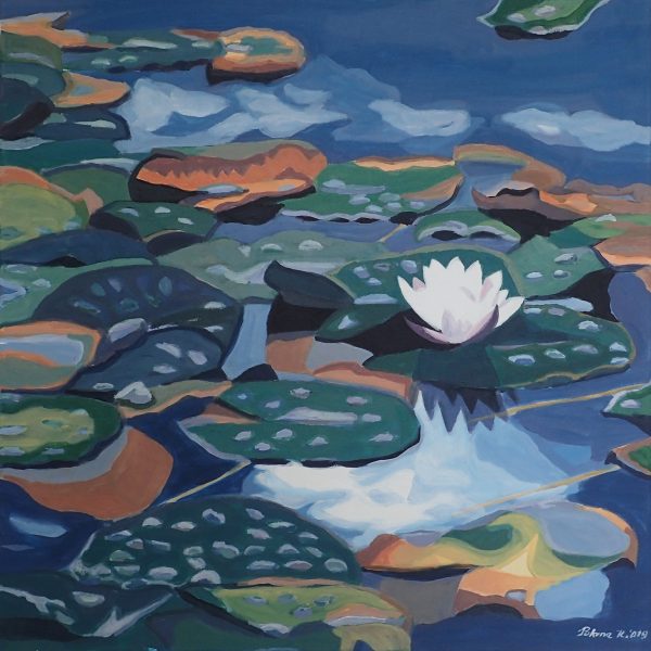 Water lilies on lake Lovrence